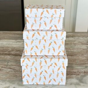 Decorative Carrot Print Spring Easter Gift Boxes / Storage Boxes- Set of 3